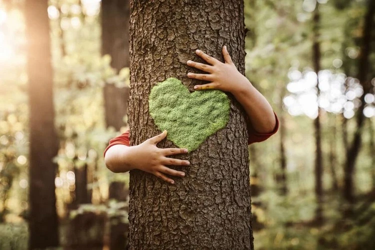 Nature-lover Nature-lover